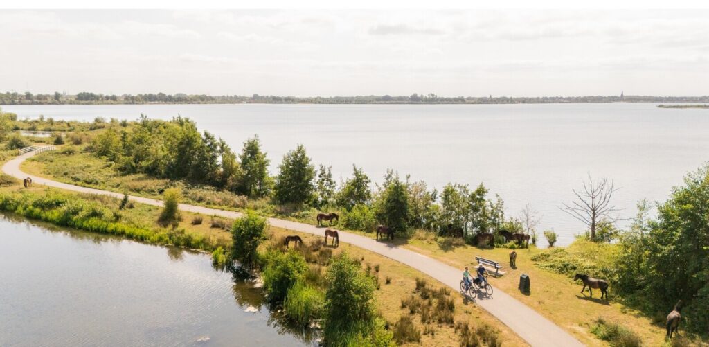 leefomgeving-mooimaasvallei